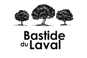bestide300